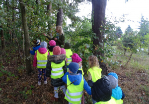 Dzieci oglądają drzewo jarzębiny